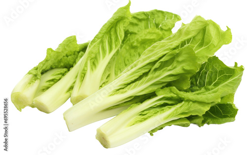 Celtuce Slices On Transparent Background