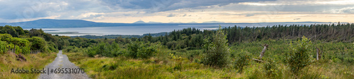 Panorama of Benbulbin forest with ocean in background © lisandrotrarbach