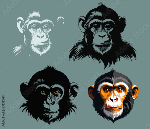 MONKEY on white background vector graphics