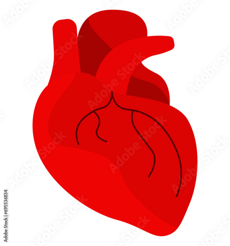 Human heart. Red heart icon, symbol. Medical vector illustration, flat design element, cartoon style, isolated on white background.