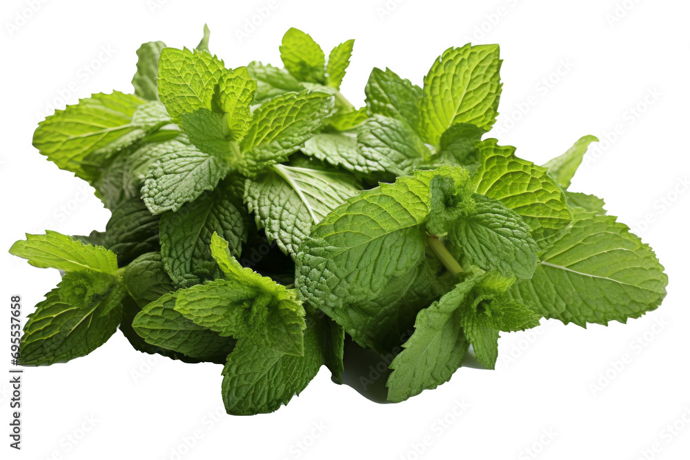 Mint on transparent background, Generative AI Mint on transparent background, Generative AI