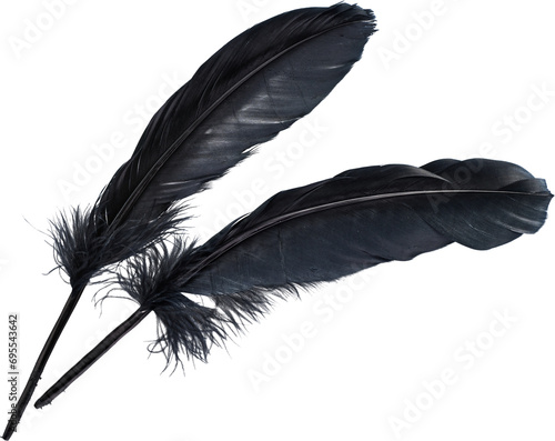 Принти на полотні Two black bird feathers arranged diagonally top view isolated on transparent bac
