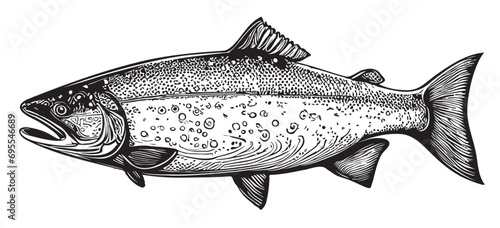 Salmon fish sketch hand drawn in doodle style illustration