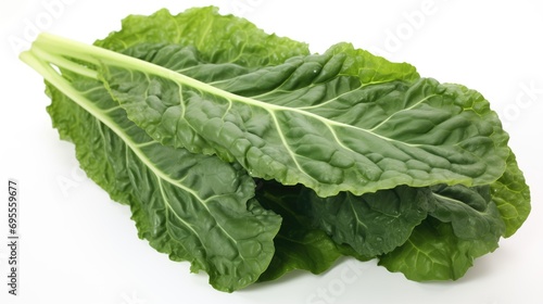 Vibrant green Swiss chard leaves  slender and with prominent veins  displayed in a close-up  high-resolution image. The clean background highlights the freshness and texture of this nutritious leafy 
