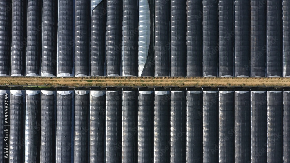 Top Down Aerial View of Green and Yellow Wheat Field Farm and Greenhouses. Golden Crops During Pasture Aerial View. Agricultural Work in Summer During Drought. Grain Crisis. Nature, Harvesting, Eco Top Down Aerial View of Green and Yellow Wheat Field Farm and Greenhouses. Golden Crops During Pasture Aerial View. Agricultural Work in Summer During Drought. Grain Crisis. Nature, Harvesting, Eco
