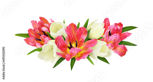 Fototapeta Naklejka Na Ścianę i Meble -  Coral and white tulip flowers in a floral arrangement isolated on white or transparent background
