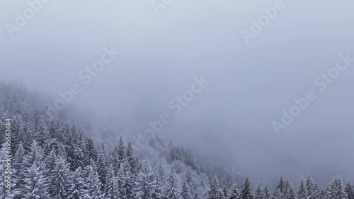 Wallpaper Mural Aerial view of winter forest. Snowy tree branch in a view of the winter forest. Winter landscape, forest, trees covered with frost and snow. Flying throw pine tree branches of mountain forest.  Torontodigital.ca