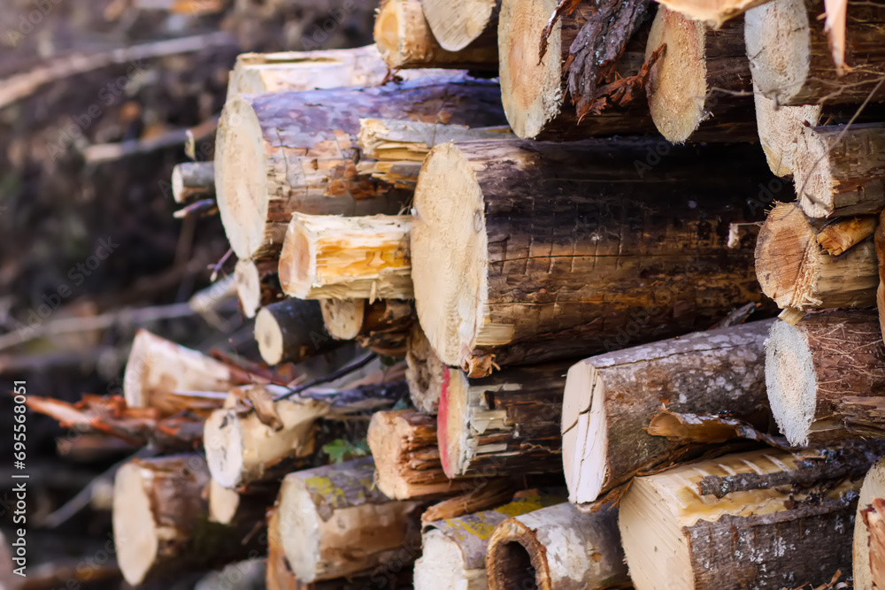 A pile of sawn logs on a field. A pile of sawn logs on a field.