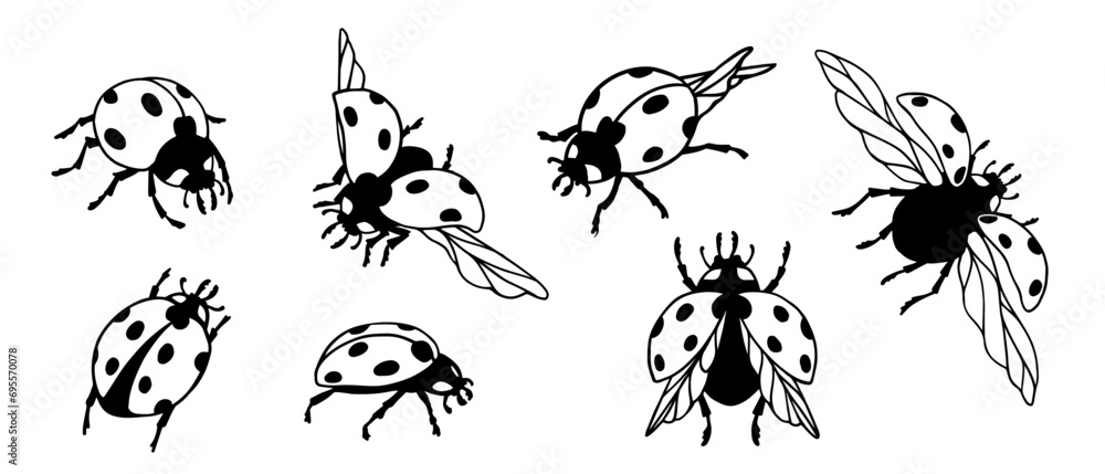 Obraz premium Set of ladybug winged insect doodles.Vector graphics.