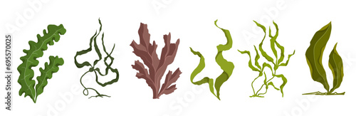 Set of various cartoon seaweeds. Vector graphics.	