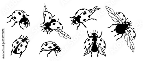 Set of ladybug winged insect doodles.Vector graphics.