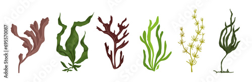 Set of various cartoon seaweeds. Vector graphics.	