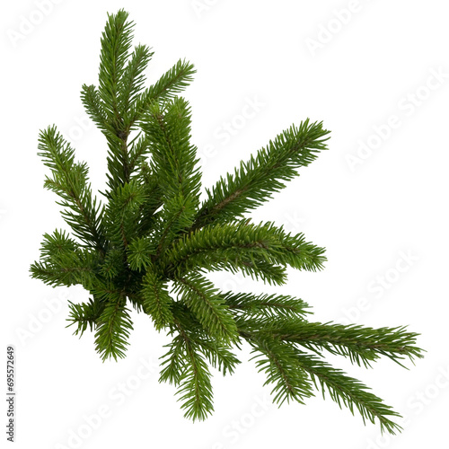 Christmas Tree Branch Photo overlays   Pine green branch isolated on  transporent background  frame border   winter New Year  holiday  xmas   photo sessia  PNG