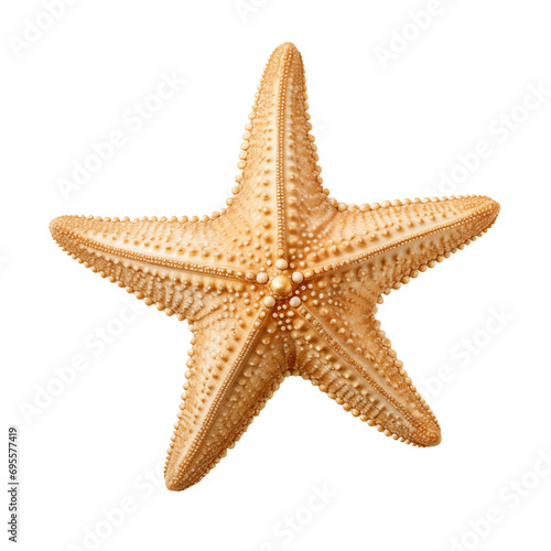 Golden starfish cut out on a transparent background. The yellow-golden starfish is suitable as an element of life under water.