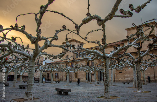 The Viriato de Zamora square, with its curious trees and the tones of the sunset, is one of the most emblematic places in the city, Spain photo