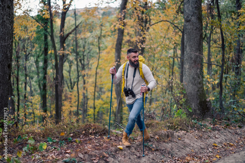 In the midst of an autumn hike, a bearded man, a hiker with a backpack and hiking poles, explores the woodland landscape.