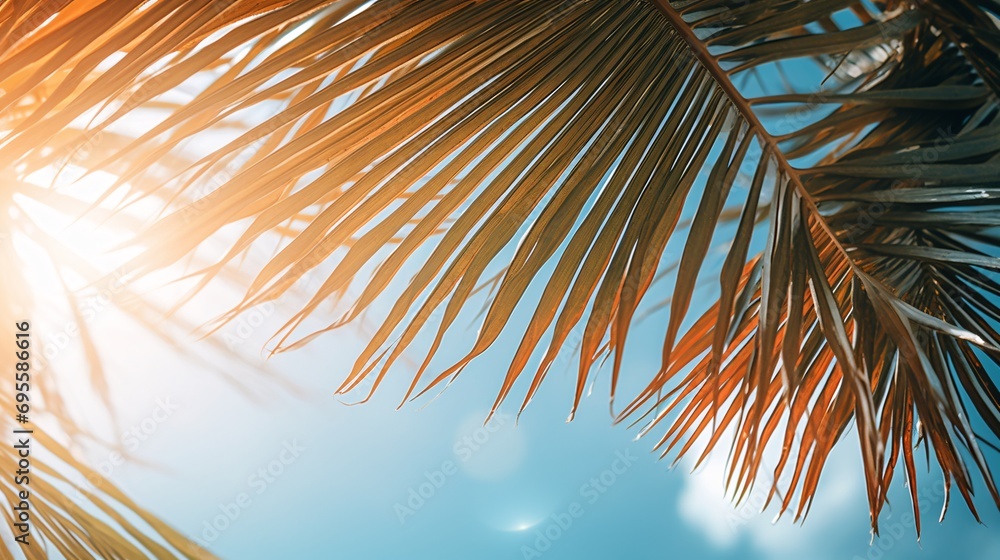 A beautiful palm tree in a sunny day Generative AI
