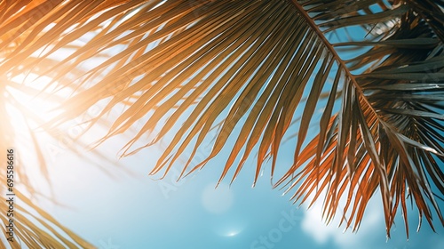A beautiful palm tree in a sunny day Generative AI