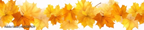 Wallpaper Mural Fall Leaves in a White Background Generative AI Torontodigital.ca