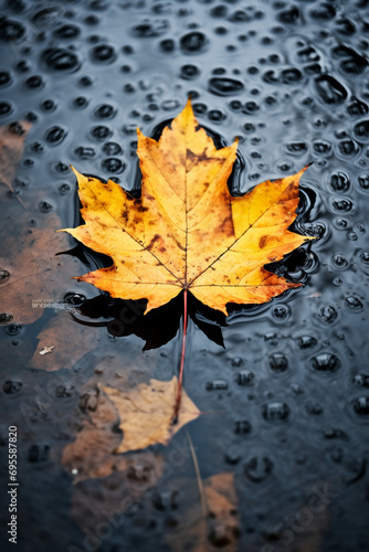 close-up shot of a leaf floating in a puddle during a storm created with Generative Ai