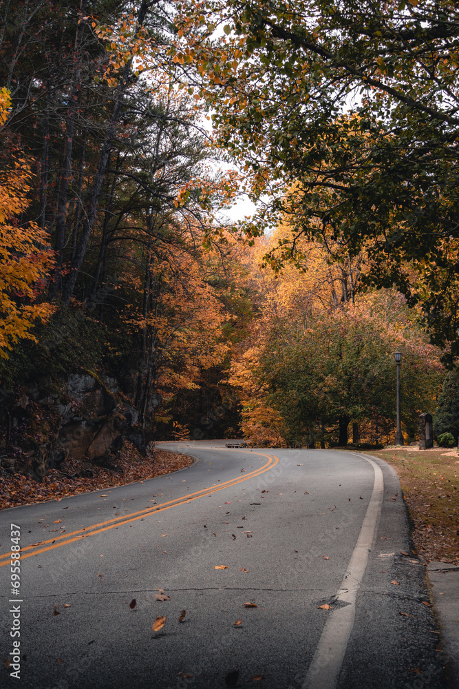Obraz premium Beatifull streets during autumn in Georgia, Tallulah Falls 