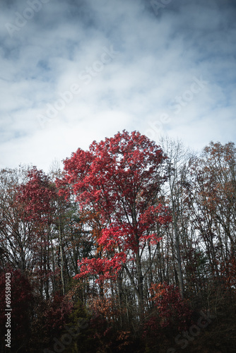 Obraz na płótnie A view of the Blue Ridge Parkway during the autumn fall color changing season. w salonie