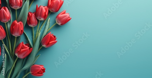 red tulips on a blue background with copy space #695591470