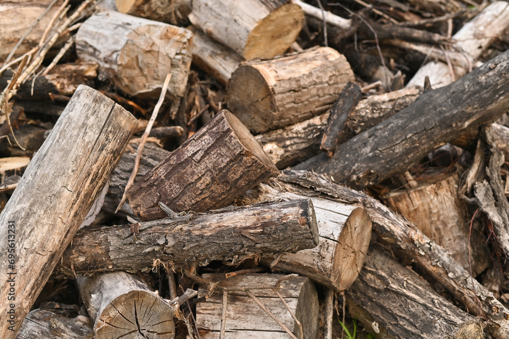 Biofuels in the form of firewood and tree branches Biofuels in the form of firewood and tree branches