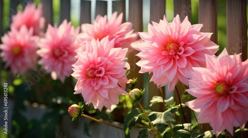  a group of pink flowers sitting next to each other on a wooden fence next to a green leafy bush.