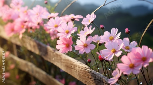  a row of pink flowers sitting on top of a wooden fence next to a field of green and pink flowers.