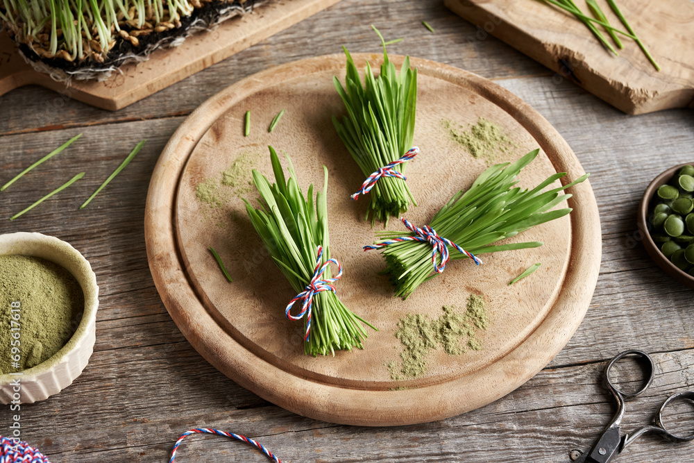 Bundles of fresh barley grass blades on a table Bundles of fresh barley grass blades on a table