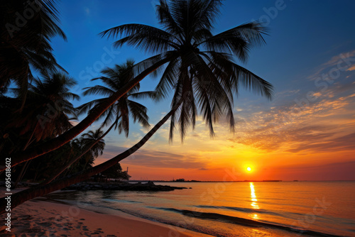 Sunset beach panorama with palm trees.