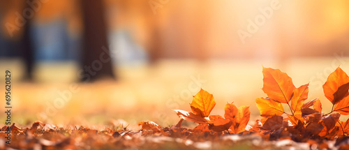 Fall Leaves Background wallpaper Image Resource
