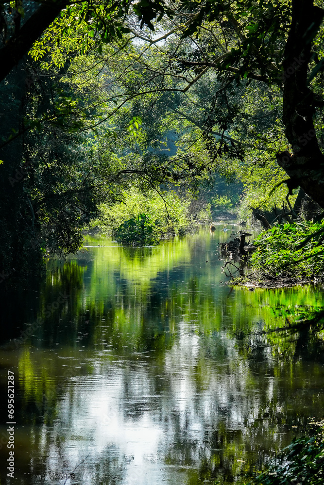 The garden next to the water is lush and green, suitable for relaxing.