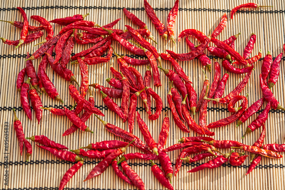 Traditional conservation of red hot chilli peppers by sun drying on wooden or bamboo mat during hot sunny summer days. Dried chillies will be used as a spicy hot condiment for cooking of asian dishes.
