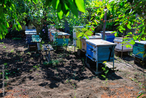 Apiary with bees. Background with selective focus and copy space