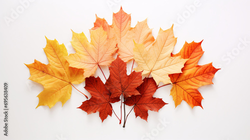 Cluster of autumn leaves on white background.