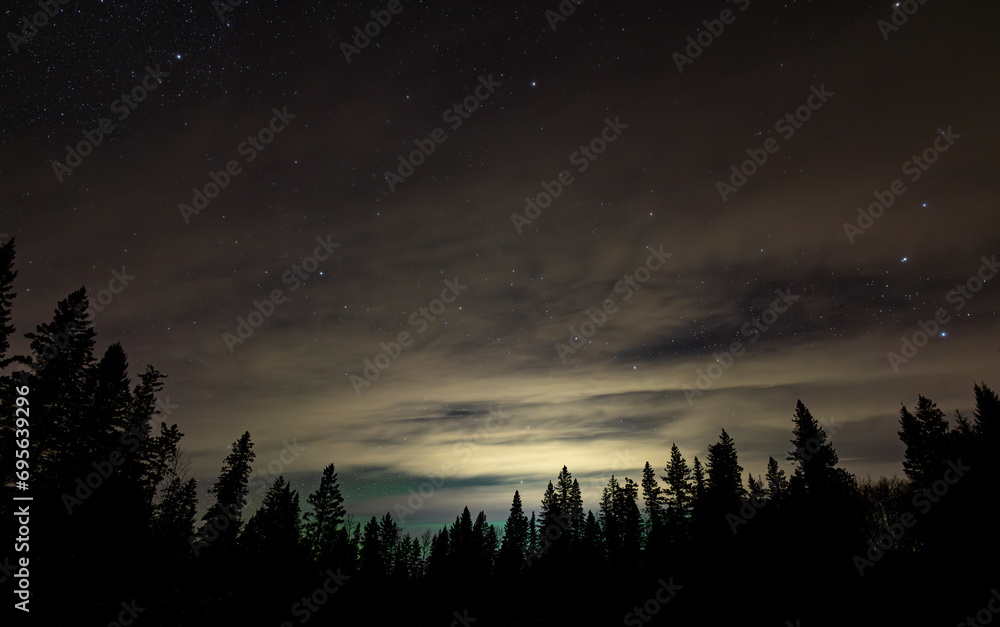 A nighttime image of an evergreen forest and a sky with moon lit clouds and scattered stars. Weak Aurora can be seen through the trees along the horizon.
A nighttime image of an evergreen forest and a sky with moon lit clouds and scattered stars. Weak Aurora can be seen through the trees along the horizon.