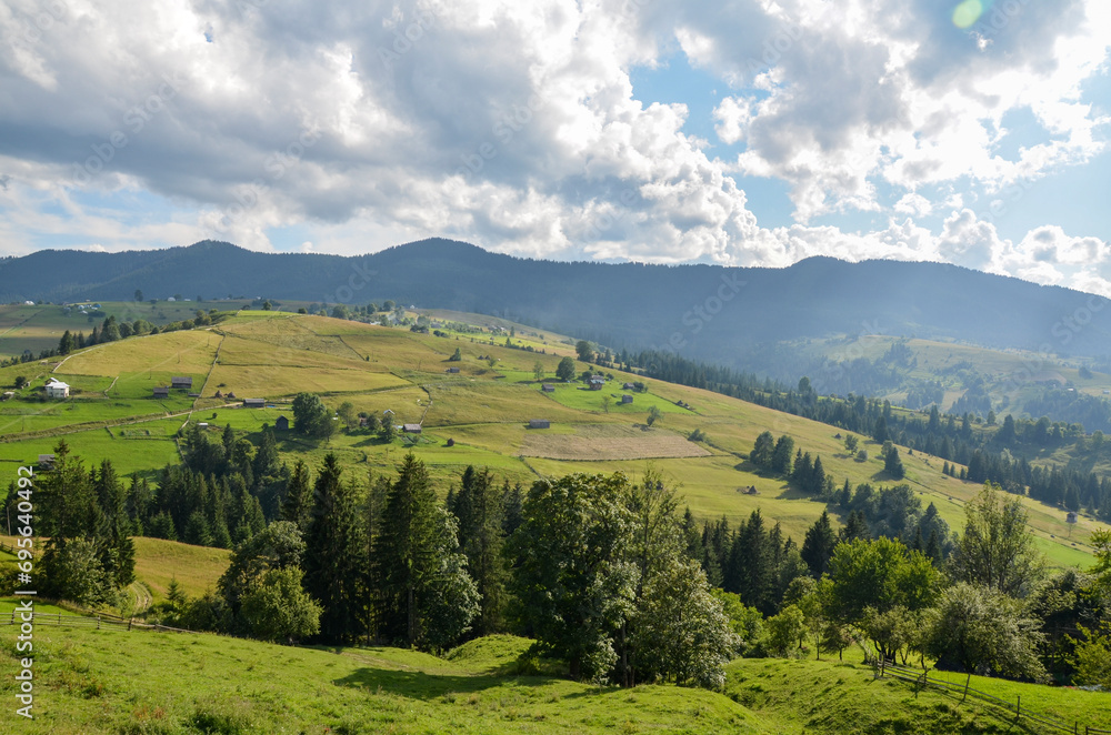 Beautiful view of green grassy valley, trees and rural mountain landscape on bright summer day. Beauty of nature, tourism, traveling and environmental preservation concept. Carpathians