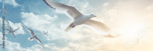 Birds in flight. Concept of grace and freedom of soaring birds