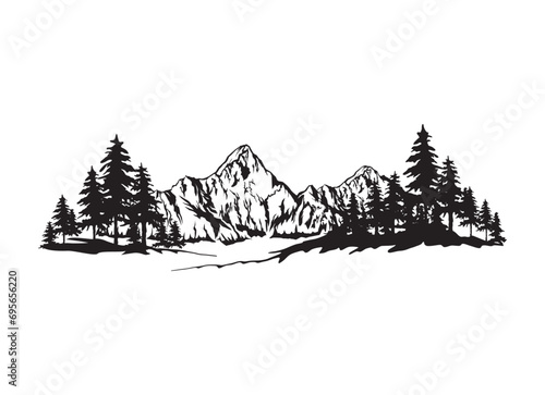 mountain and pine forest vector illustration