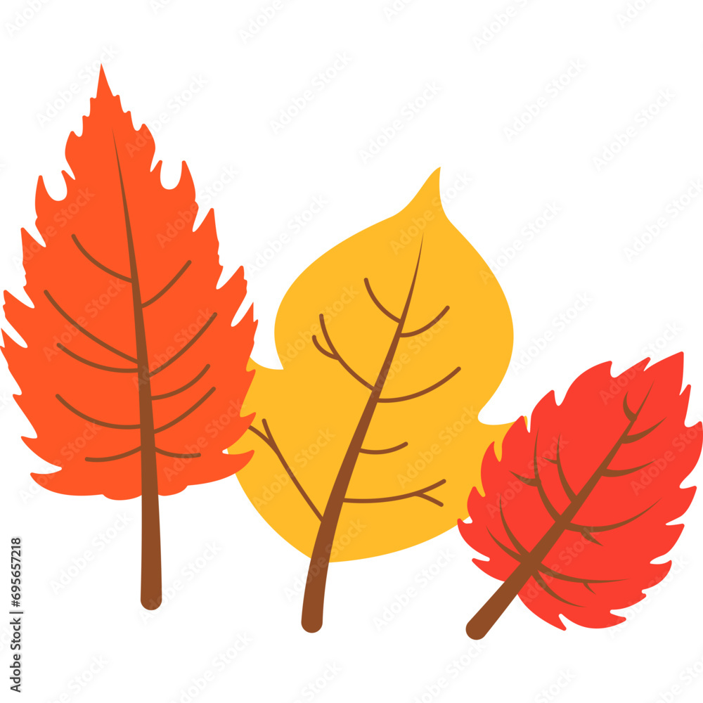 Fototapeta premium Autumn Leaf Vector