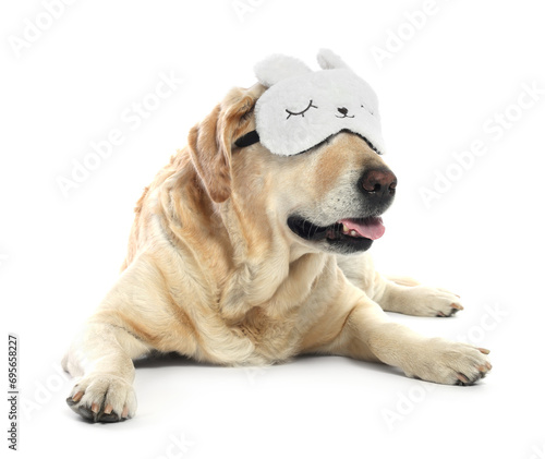 Cute Labrador Retriever with sleep mask resting on white background