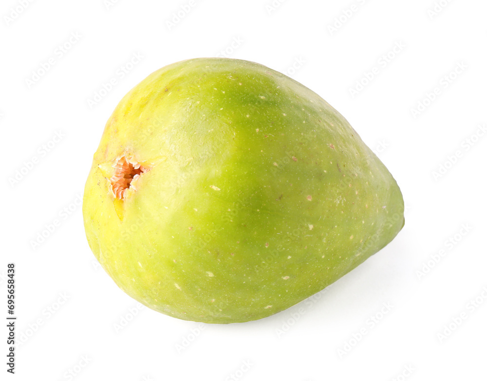One fresh green fig isolated on white One fresh green fig isolated on white
