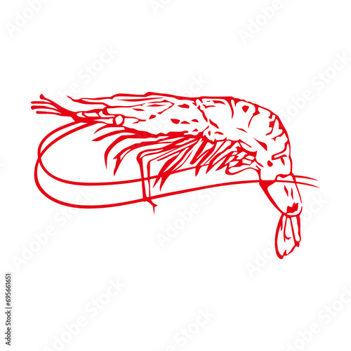 Make a Professional Shrimp Line Vector