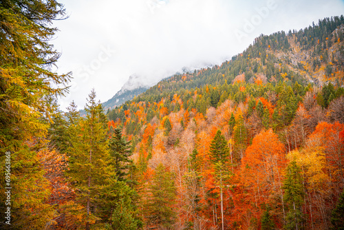 Autumn scenes in Neuschwanstein castle, Germany