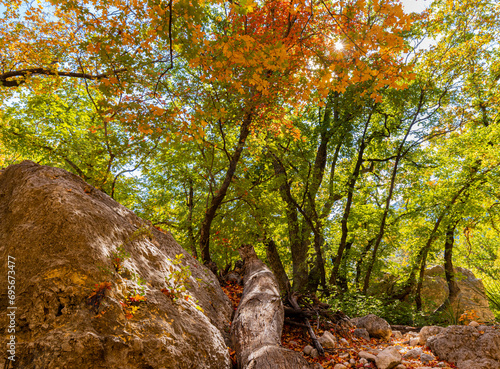 Fall Color in  McKittrick Canyon, Guadalupe Mountains National Park, Texas, USA photo