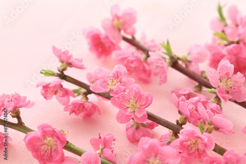 おひな祭り 桃の花