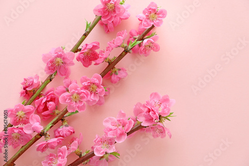 おひな祭り 桃の花