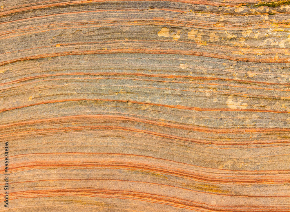 Patterns of Erosion on The Sandstone Walls of The Pine Creek Gorge, Zion National Park, Utah, USA Patterns of Erosion on The Sandstone Walls of The Pine Creek Gorge, Zion National Park, Utah, USA
